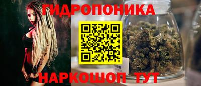 крисы Будённовск