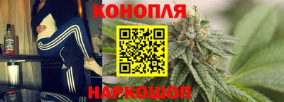 сатива Бузулук