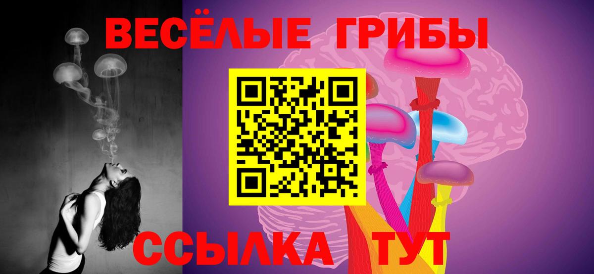 Кизилюрт  Псилоцибиновые грибы Cubensis  Вход с VPN 